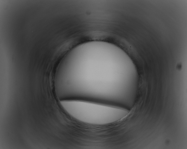 X0000101990074200807180834