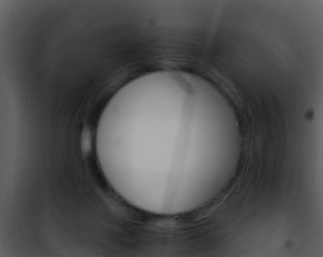 X0000101990075200807180834