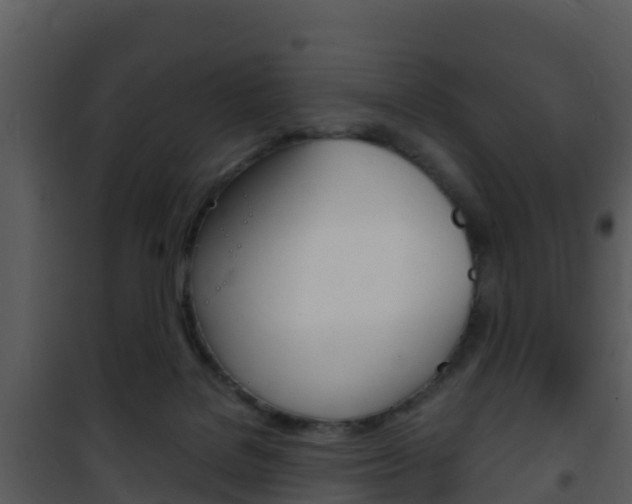X0000101990076200807180834