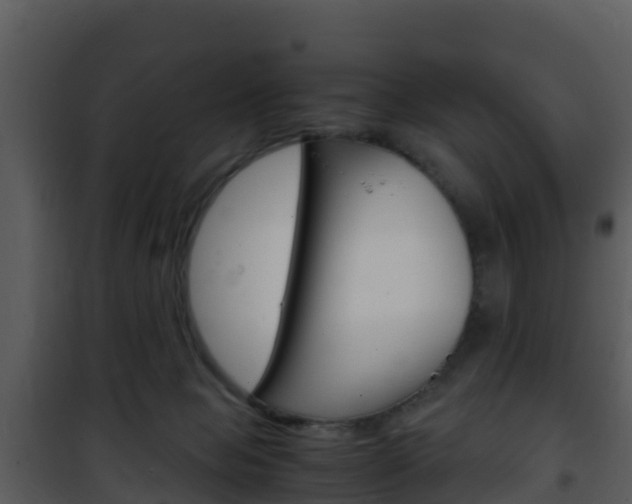 X0000101990077200807180834