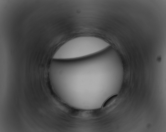 X0000101990078200807180834