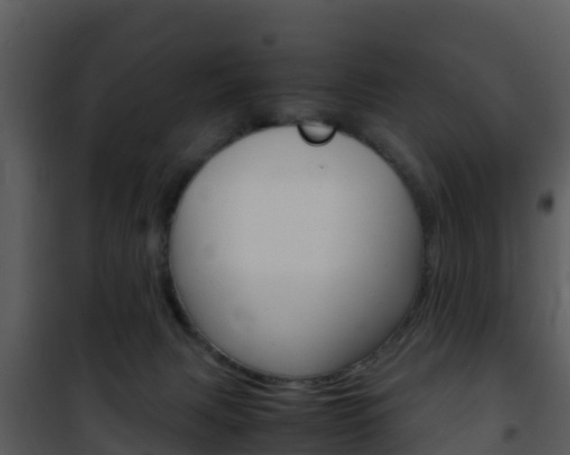 X0000101990079200807180834