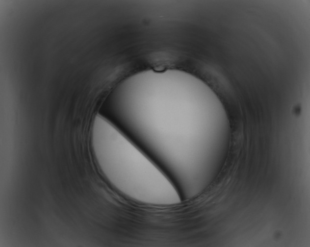 X0000101990081200807180834