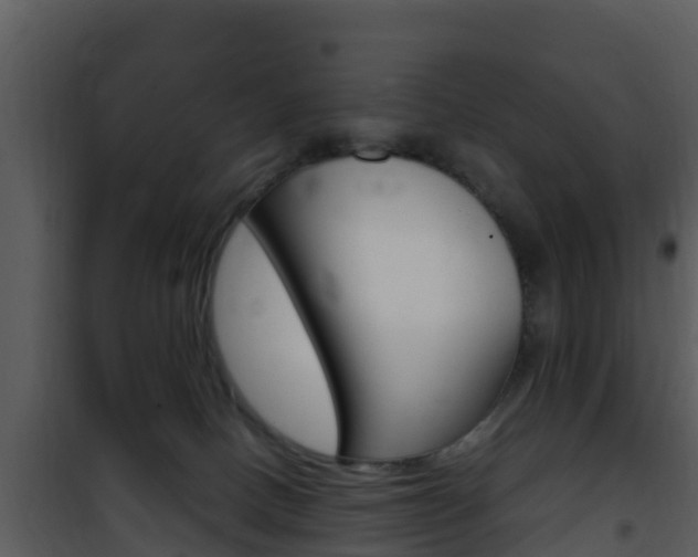 X0000101990082200807180834
