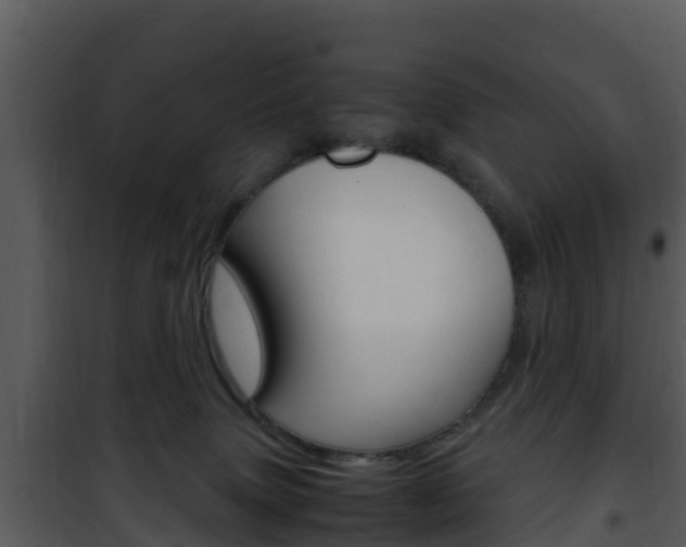 X0000101990083200807180834