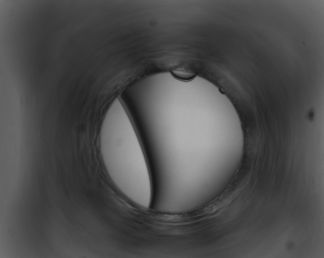 X0000101990085200807180834
