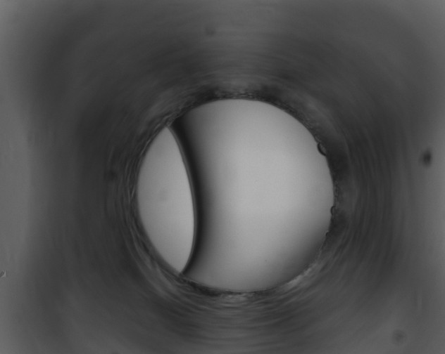 X0000101990086200807180835
