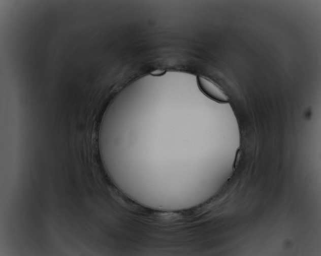 X0000101990087200807180835