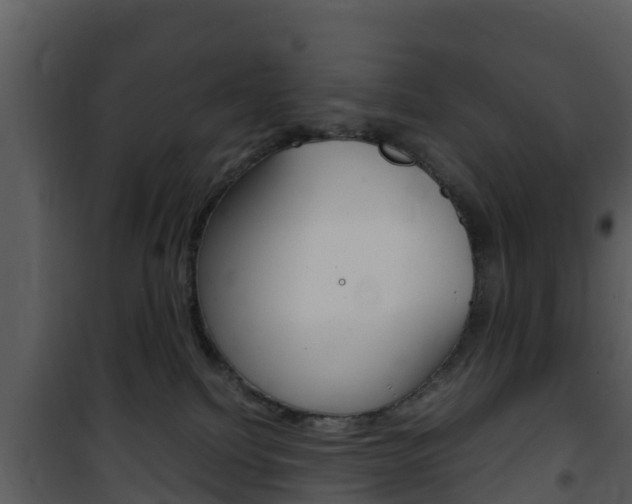 X0000101990088200807180835