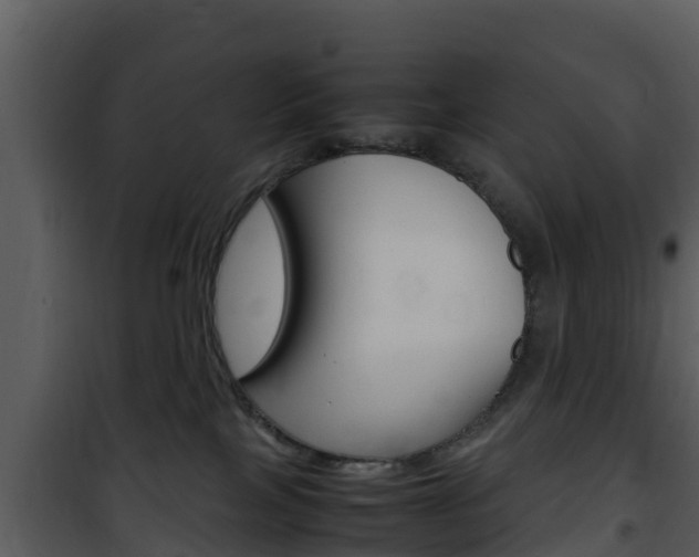 X0000101990089200807180835
