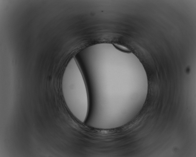 X0000101990091200807180835