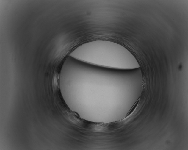 X0000101990094200807180835