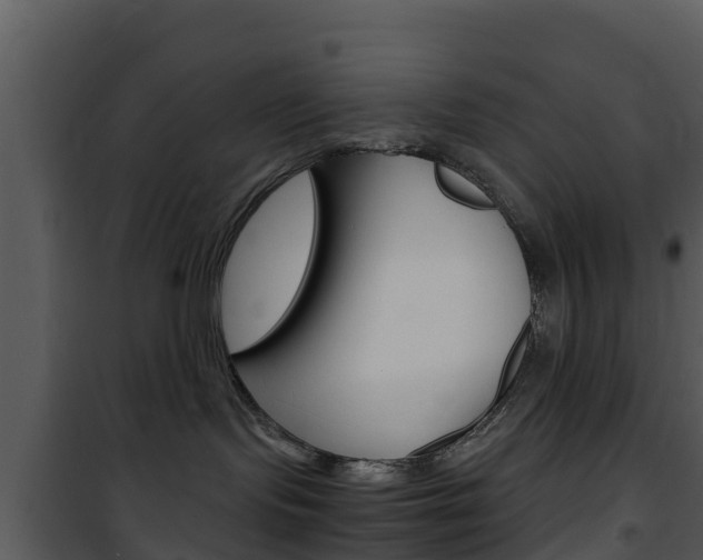 X0000101990095200807180835