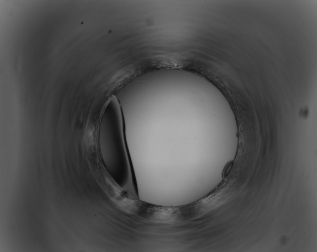 X0000101990096200807180835