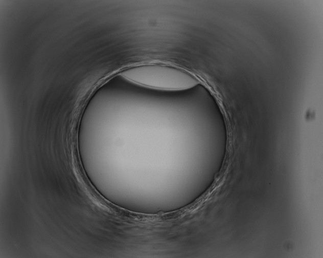 X0000101990097200807180834