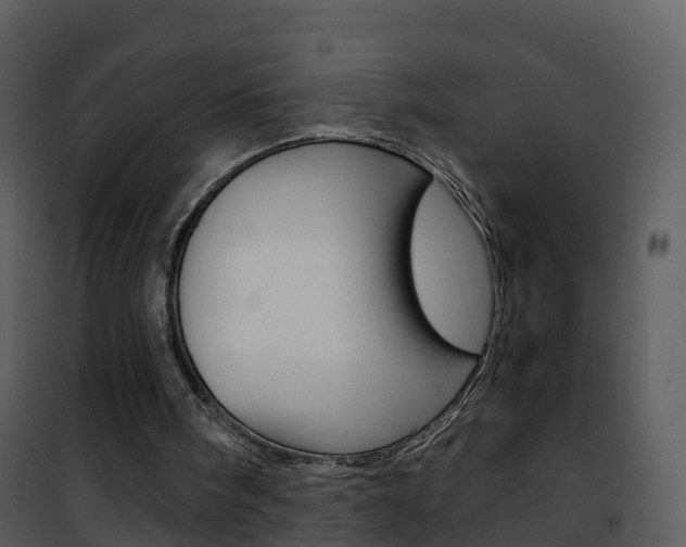 X0000101990098200807180834