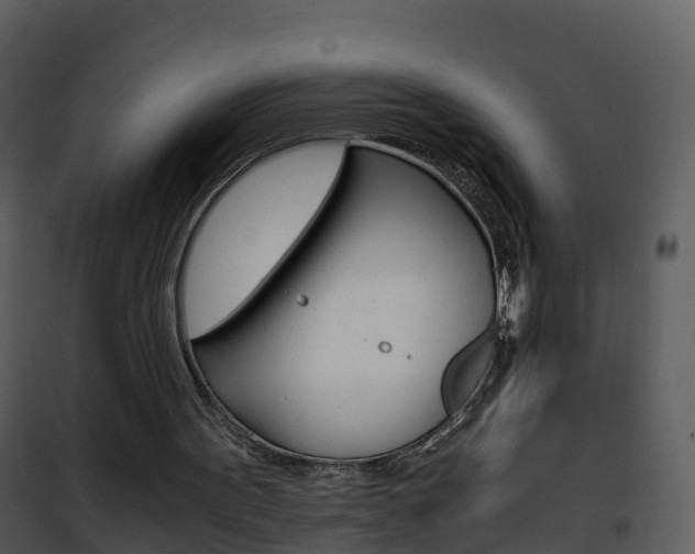 X0000101990099200807180834