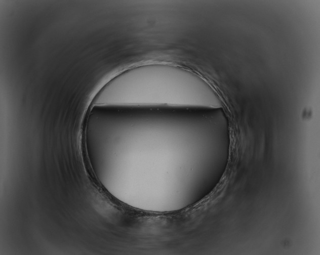 X0000101990100200807180834