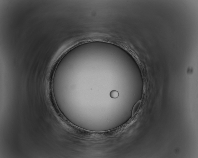 X0000101990101200807180834