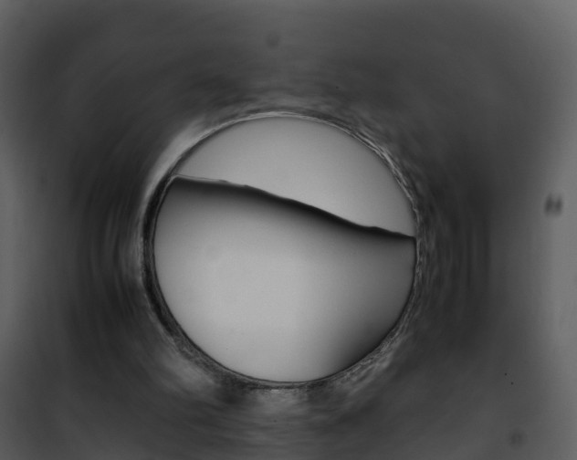 X0000101990102200807180834