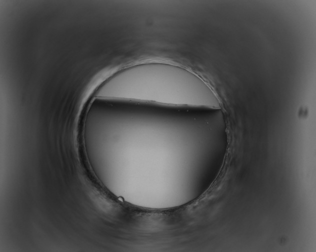 X0000101990104200807180834