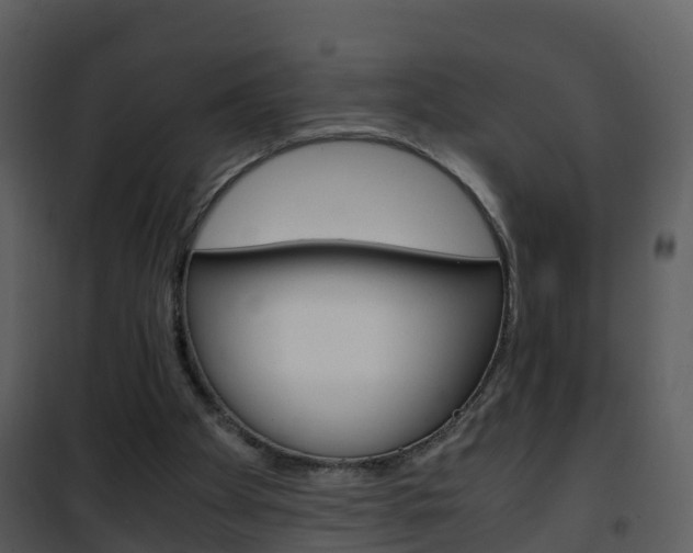 X0000101990105200807180834
