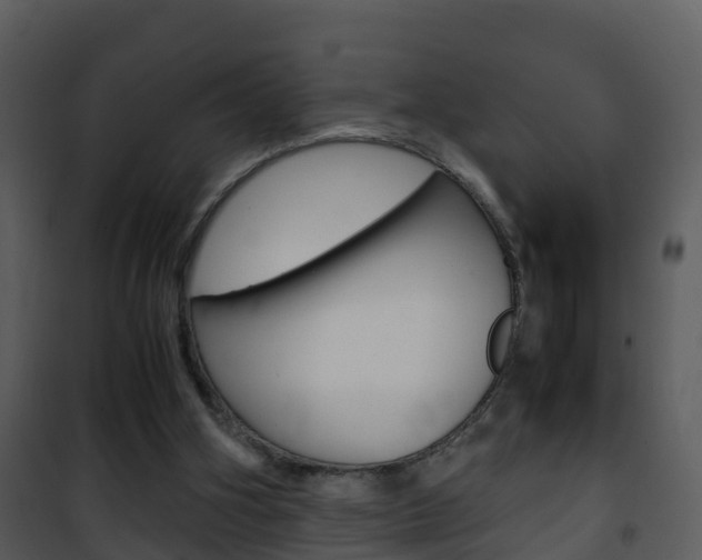 X0000101990106200807180834