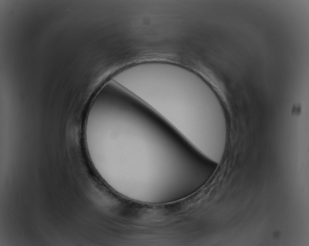 X0000101990107200807180834