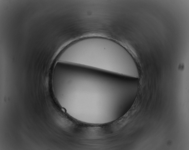 X0000101990108200807180834