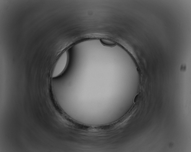 X0000101990109200807180834