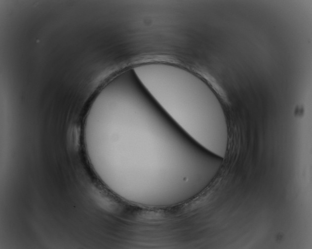 X0000101990110200807180834