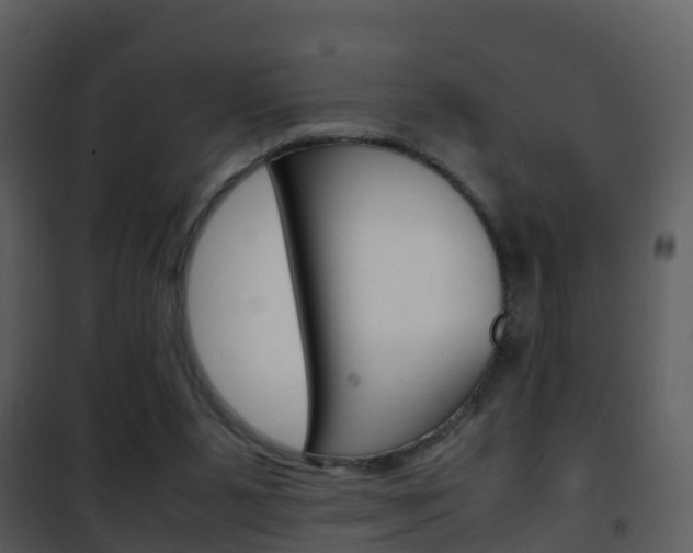 X0000101990111200807180834
