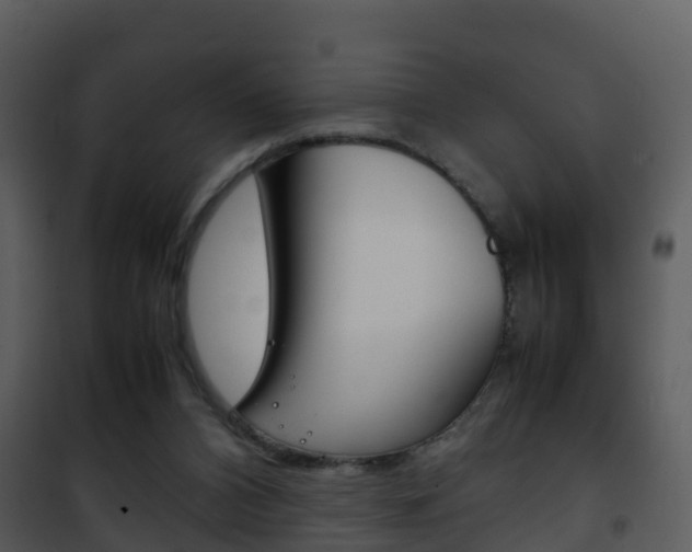 X0000101990112200807180834