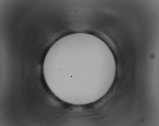 X0000101990113200807180834