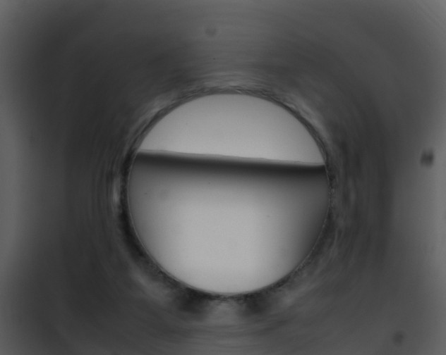 X0000101990115200807180834