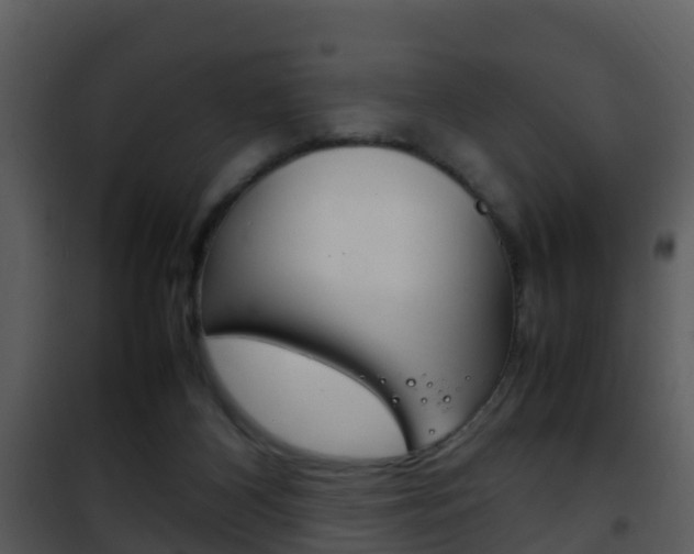 X0000101990116200807180834