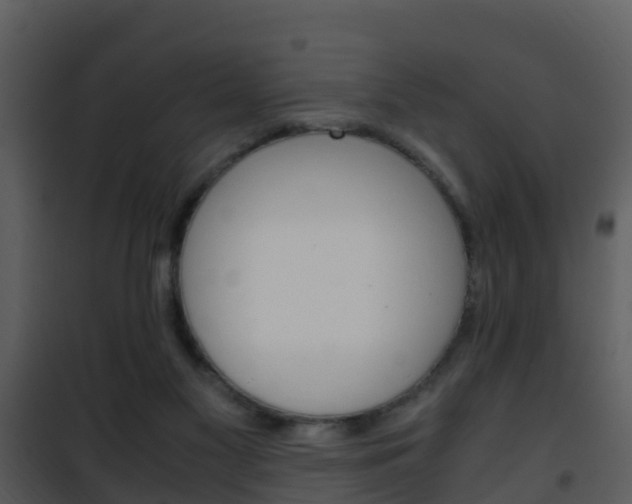 X0000101990117200807180834
