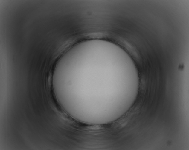 X0000101990118200807180834