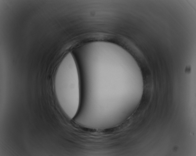X0000101990119200807180834