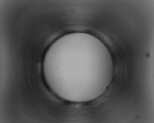 X0000101990120200807180834