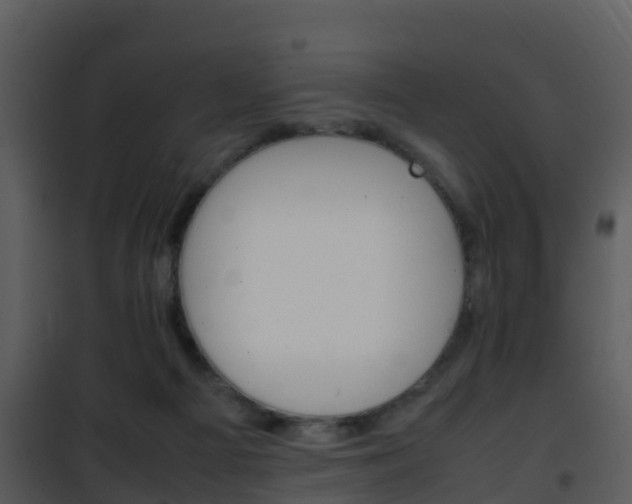X0000101990121200807180833