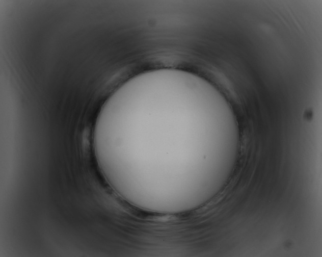 X0000101990122200807180833
