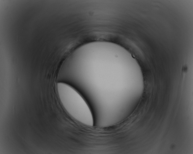 X0000101990123200807180833