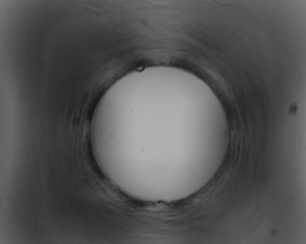X0000101990125200807180833