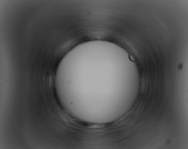 X0000101990126200807180833