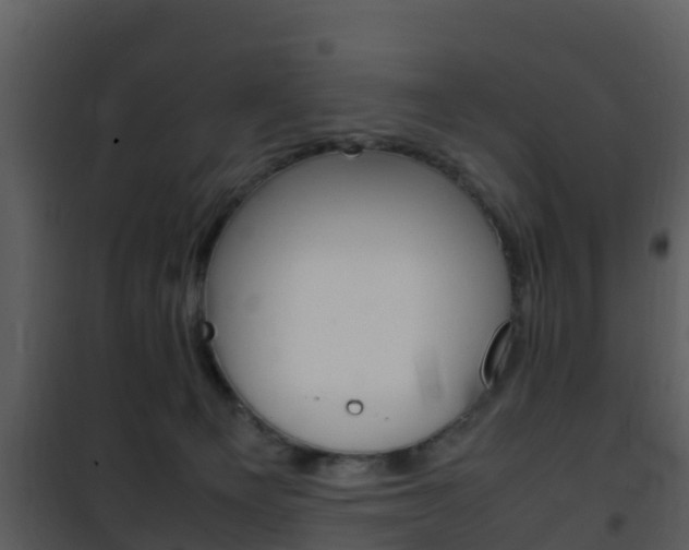 X0000101990129200807180833