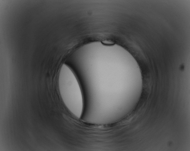 X0000101990131200807180833