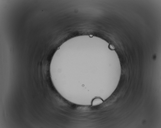 X0000101990133200807180833