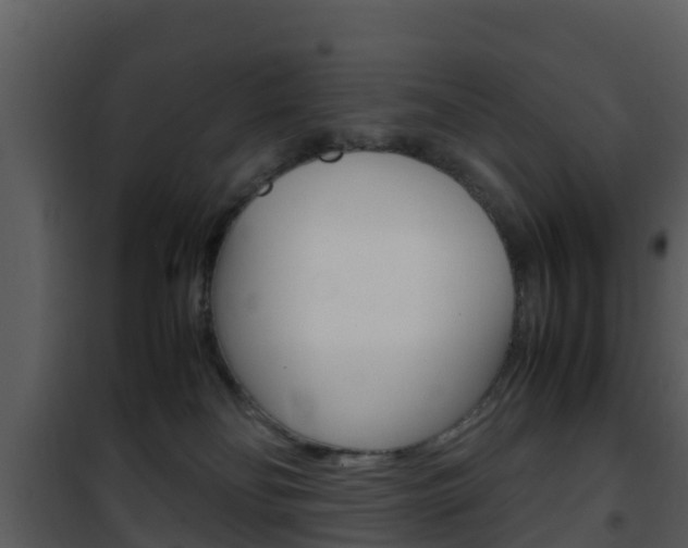 X0000101990134200807180833