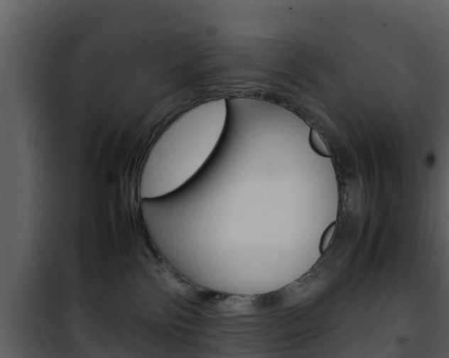 X0000101990138200807180833